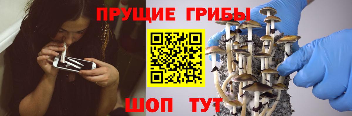 Галлюциногенные грибы Magic Shrooms  купить наркотики сайты  Галлюциногенные грибы Magic Shrooms  Жигулёвск  Вход с VPN 